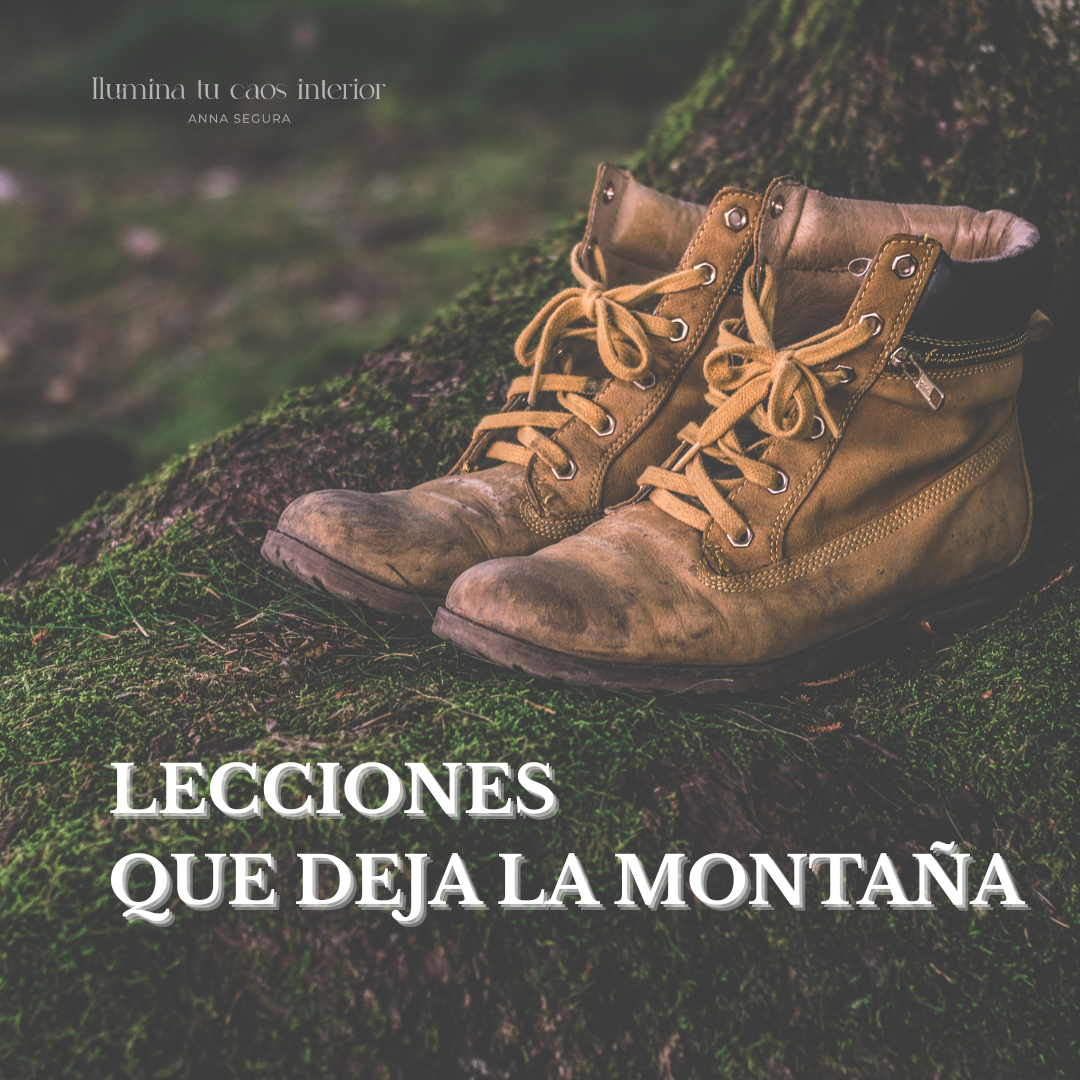 Lee más sobre el artículo Lecciones de Vida…